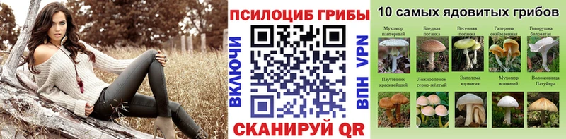 Псилоцибиновые грибы MAGIC MUSHROOMS  Буй 